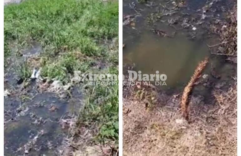 Imagen de Camino al Rowing: Vecinos de Aníbal Maffei 1200 reclaman soluciones por el colapso de cloacas