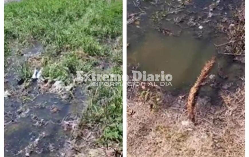 Imagen de Camino al Rowing: Vecinos de An&iacute;bal Maffei 1200 reclaman soluciones por el colapso de cloacas