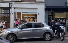 El auto donde permaneció varias horas encerrado el animal, y donde finalmente murió. (Radio 2)