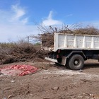 Imagen de Camión con achuras fue decomisado por no tener en regla la cámara de frío para transportar alimentos.