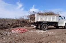 Imagen de Camión con achuras fue decomisado por no tener en regla la cámara de frío para transportar alimentos.