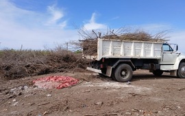Imagen de Camión con achuras fue decomisado por no tener en regla la cámara de frío para transportar alimentos.