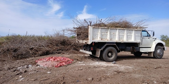 Imagen de Camión con achuras fue decomisado por no tener en regla la cámara de frío para transportar alimentos.