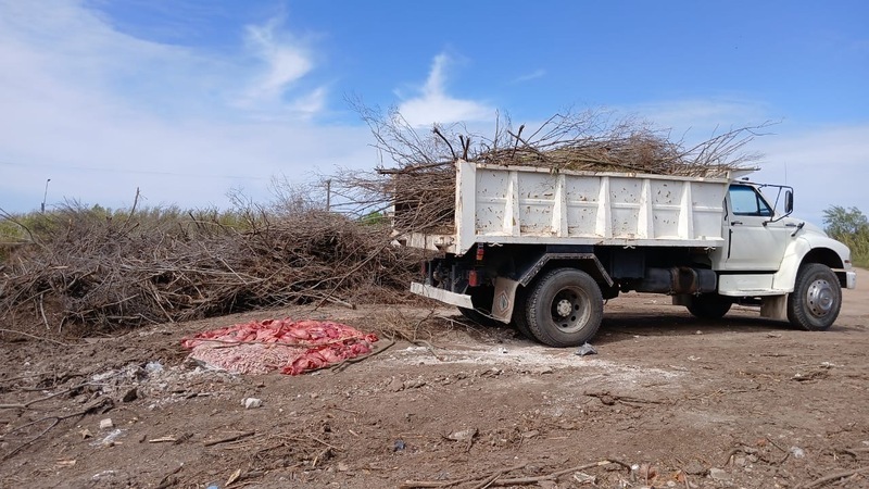 Imagen de Camión con achuras fue decomisado por no tener en regla la cámara de frío para transportar alimentos.