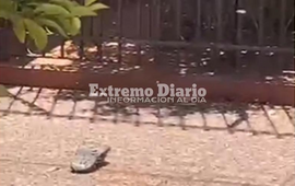 Foto: captura de pantalla video