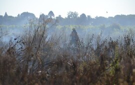 Se realizaban tareas en parte del terreno quemado. (Rub&eacute;n Lescano)