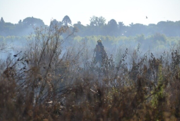 Se realizaban tareas en parte del terreno quemado. (Rubén Lescano)