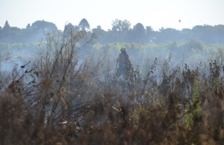 Se realizaban tareas en parte del terreno quemado. (Rubén Lescano)