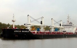 El barco African Magnolia quedó frenado en la terminal de General Lagos. (Foto: Marinetraffic/@HelgeSchilling)
