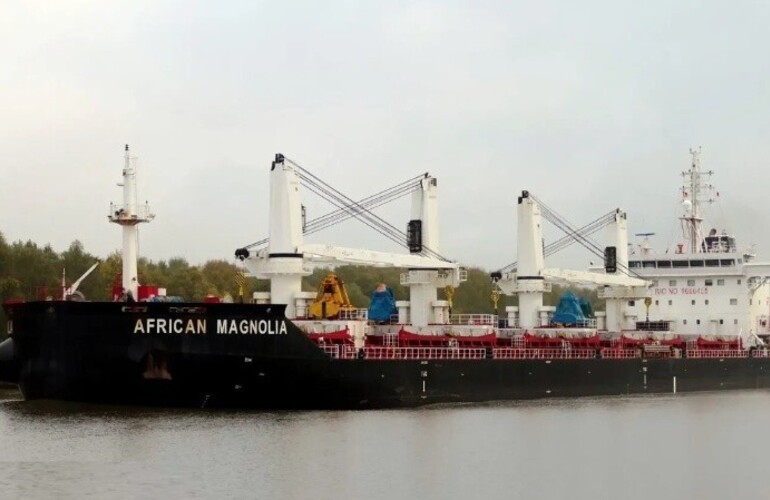 El barco African Magnolia quedó frenado en la terminal de General Lagos. (Foto: Marinetraffic/@HelgeSchilling)