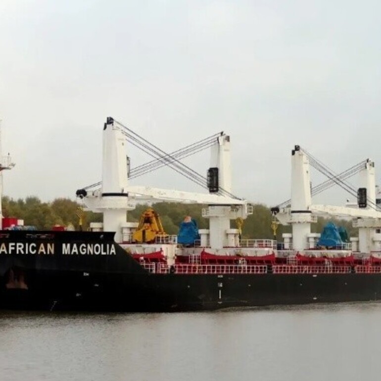 El barco African Magnolia quedó frenado en la terminal de General Lagos. (Foto: Marinetraffic/@HelgeSchilling)