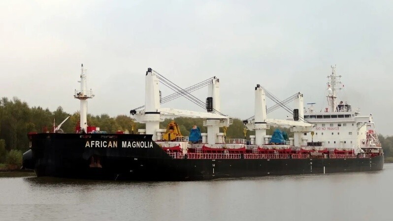 El barco African Magnolia qued&oacute; frenado en la terminal de General Lagos. (Foto: Marinetraffic/@HelgeSchilling)