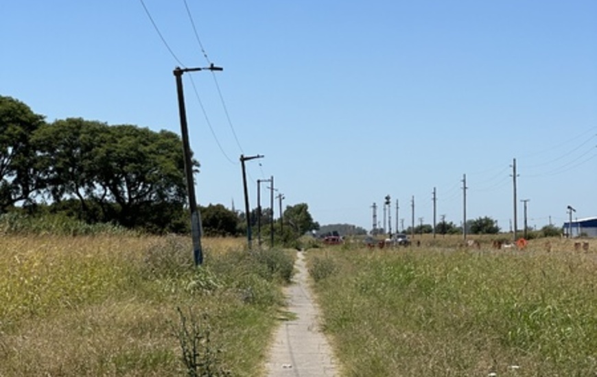 Imagen de Vecinos reclaman mejoras en el mantenimiento de la senda peatonal del cementerio.