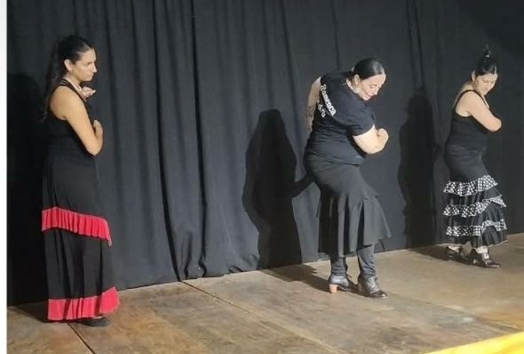 Imagen de Otro papelón de Centini: Se llevó Flamenco a su teatro privado