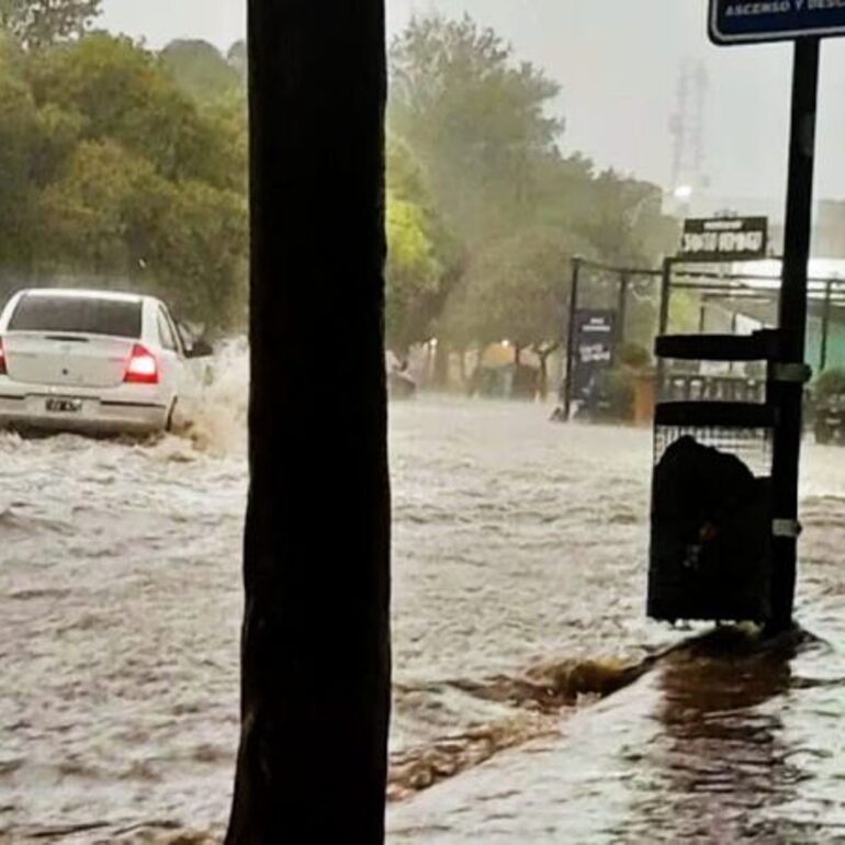 Imagen de Lluvias intensas transformaron Santa Rosa de Calamuchita en una riada, con autos arrastrados por el agua y casas inundadas