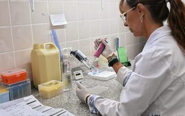 Imagen de Dengue: laboratorios de la Provincia de Santa Fe trabajan con 50% m&aacute;s de insumos y en red