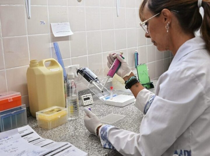 Imagen de Dengue: laboratorios de la Provincia de Santa Fe trabajan con 50% más de insumos y en red