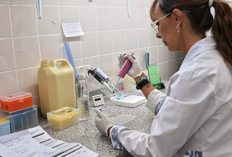 Imagen de Dengue: laboratorios de la Provincia de Santa Fe trabajan con 50% más de insumos y en red