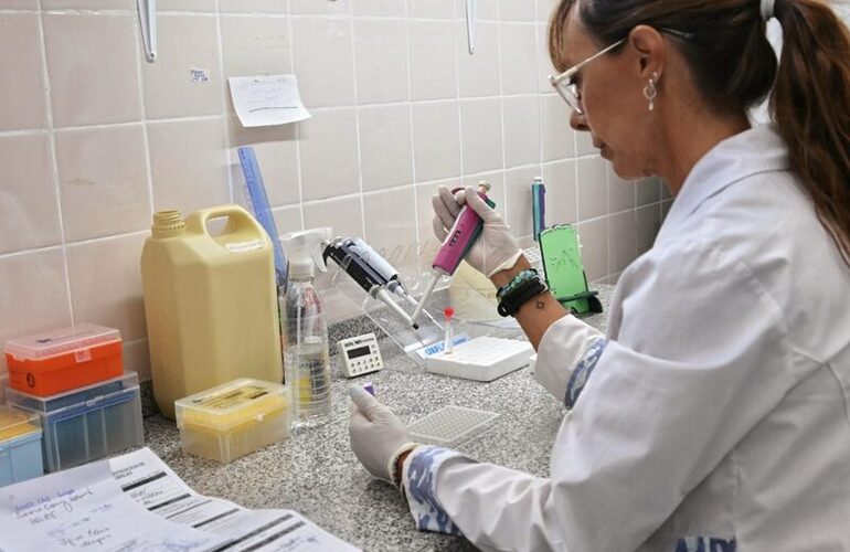 Imagen de Dengue: laboratorios de la Provincia de Santa Fe trabajan con 50% m&aacute;s de insumos y en red