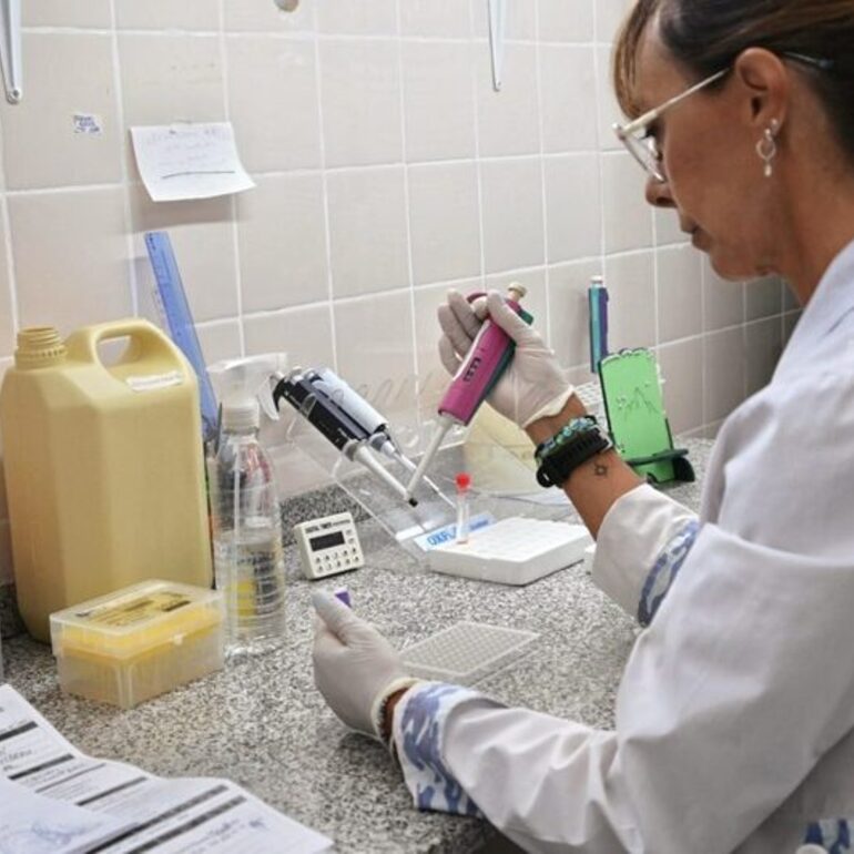 Imagen de Dengue: laboratorios de la Provincia de Santa Fe trabajan con 50% más de insumos y en red