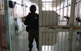 Imagen de Hallaron más droga, teléfonos celulares y armas blancas con las nuevas requisas en la cárcel de Las Flores