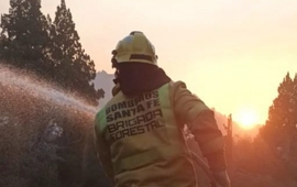 Imagen de Brigadistas santafesinos contin&uacute;an combatiendo focos de incendio al pie del volc&aacute;n Lan&iacute;n