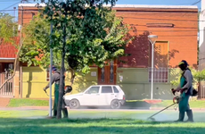 Imagen de Acondicionamiento de sectores al aire libre de General Lagos.