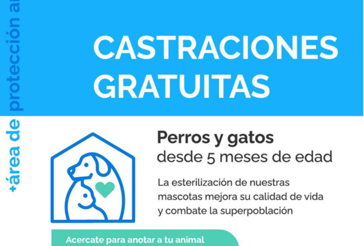 Imagen de Castraciones gratuitas a mascotas de la localidad.