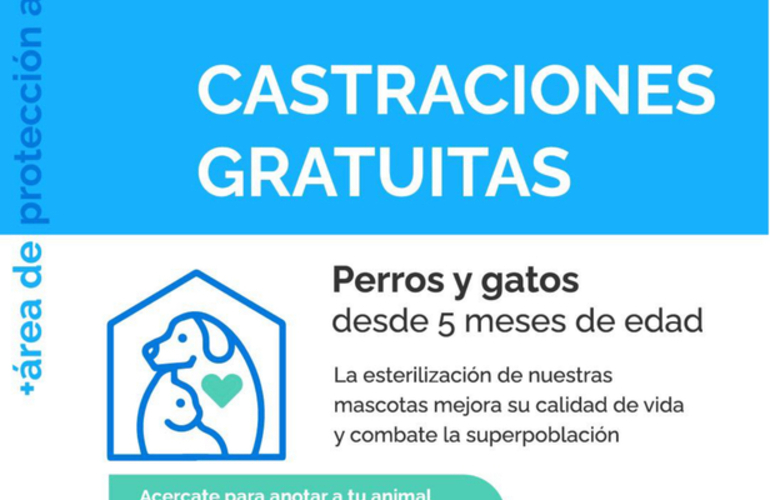 Imagen de Castraciones gratuitas a mascotas de la localidad.