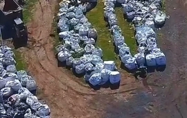 La planta naci&oacute; en 2021 y no para de crecer.