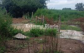 Imagen de Denuncia que se le muri&oacute; un caballo por tomar �un l&iacute;quido envenenado�