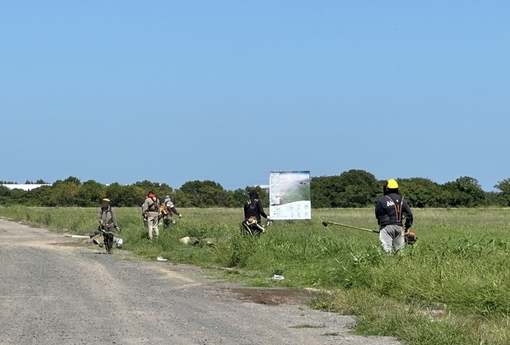 Imagen de Por reclamo de vecinos, cortaron pastizales largos en Dacunto y Sarmiento.