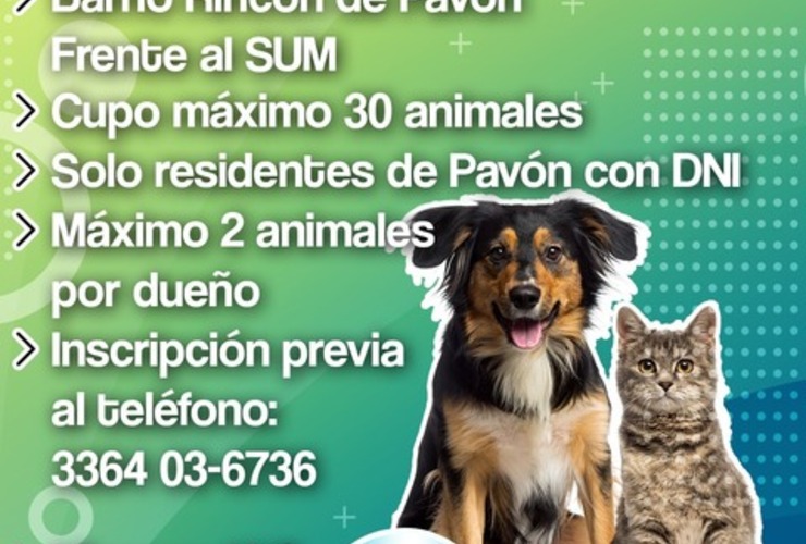 Imagen de En Pav&oacute;n jornada de castraci&oacute;n para perros y gatos