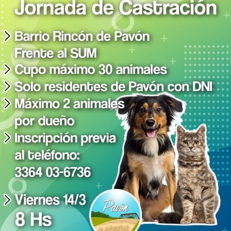 Imagen de En Pavón jornada de castración para perros y gatos