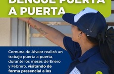 Imagen de Alvear refuerza la prevención del dengue con operativos territoriales