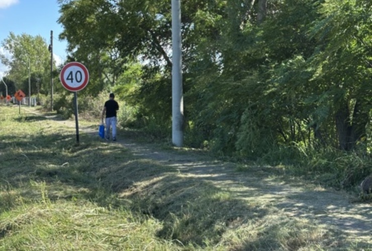 Imagen de Pastizales cortados, sendero transitable y pasto en las banquinas.