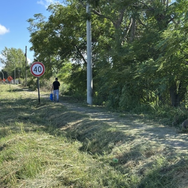 Imagen de Pastizales cortados, sendero transitable y pasto en las banquinas.