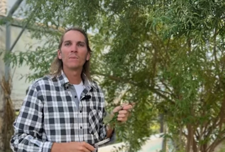 Imagen de Taller de repelente natural con plantas en el vivero comunal