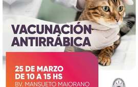 Imagen de Vacunaci&oacute;n antirr&aacute;bica para mascotas en el Boulevard