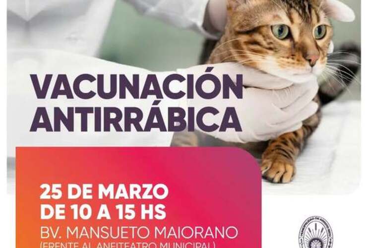 Imagen de Vacunación antirrábica para mascotas en el Boulevard