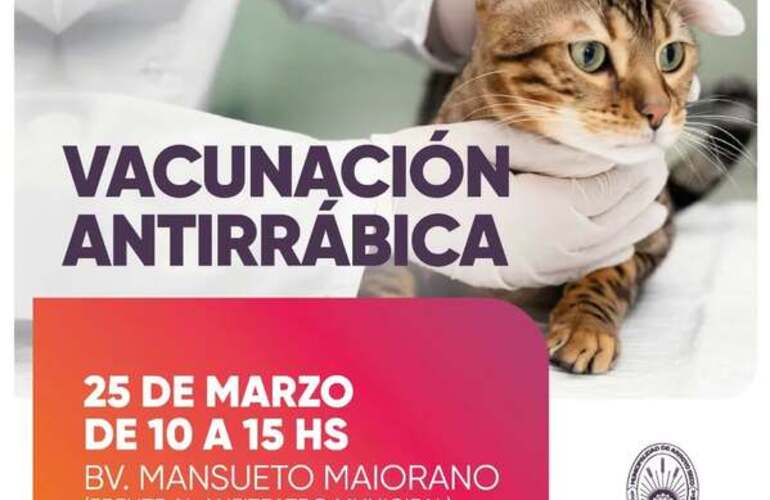 Imagen de Vacunaci&oacute;n antirr&aacute;bica para mascotas en el Boulevard