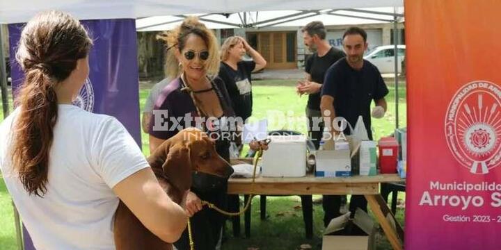 Imagen de Se aplicaron 150 dosis de vacunas antirrábica