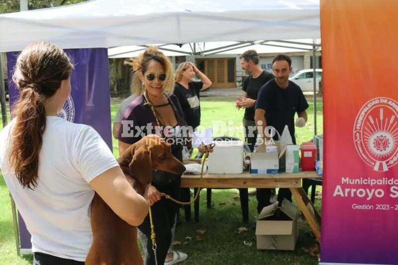 Imagen de Se aplicaron 150 dosis de vacunas antirrábica