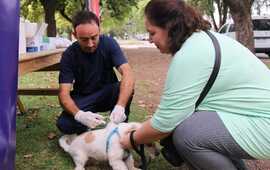 Será el martes 8/4 en el barrio Güemes.