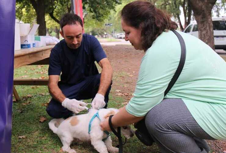 Será el martes 8/4 en el barrio Güemes.