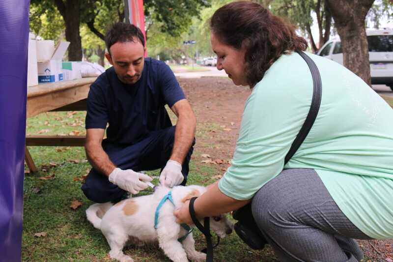 Ser&aacute; el martes 8/4 en el barrio G&uuml;emes.