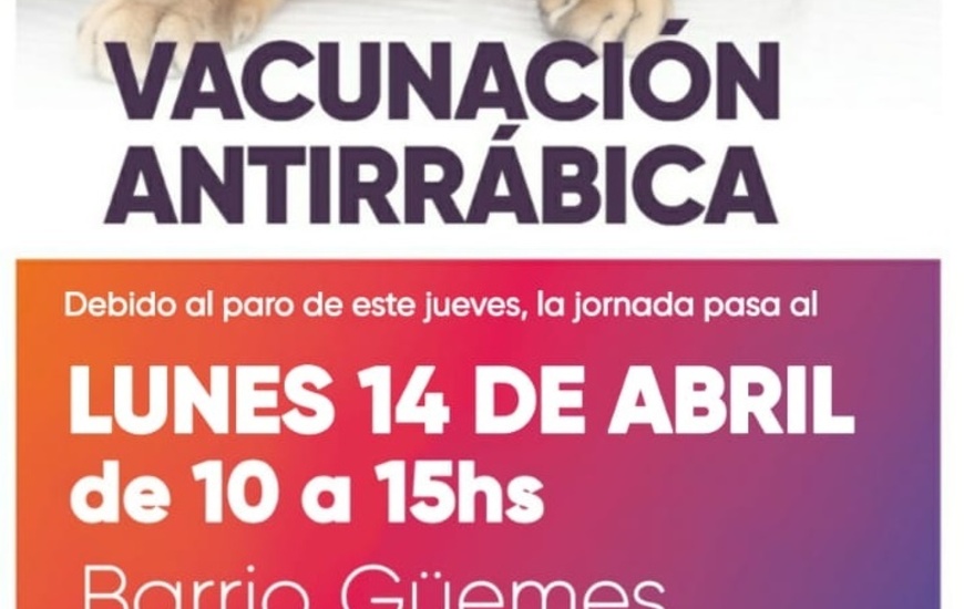 Imagen de Vacunación antirrábica este lunes en Barrio Güemes