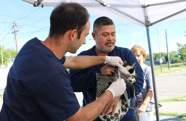 Nueva jornada de la campaña de salud animal.