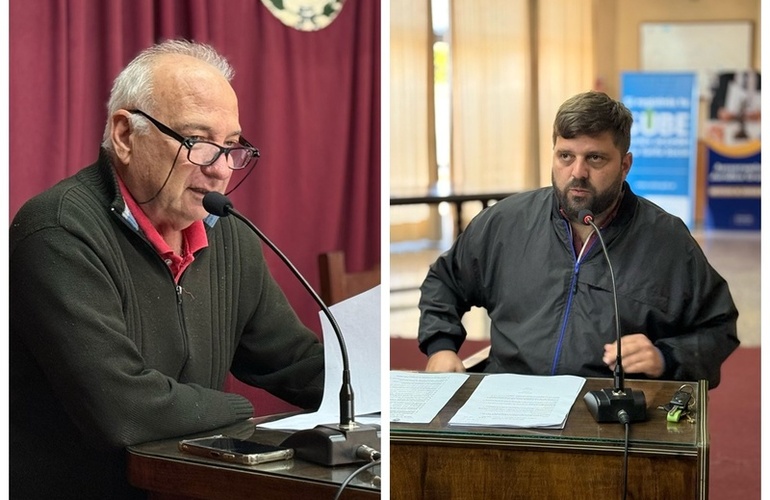 Imagen de Concejo Municipal: Proyectos presentados por Murina y Ghione