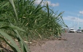 Imagen de La Justicia orden&oacute; a Vialidad que cumpla el mantenimiento de Circunvalaci&oacute;n